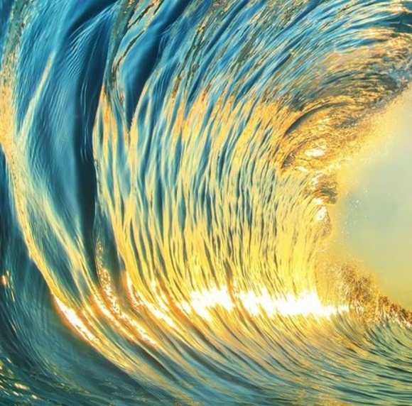 Meet your Posher, Jacob - Picture 1 of 1